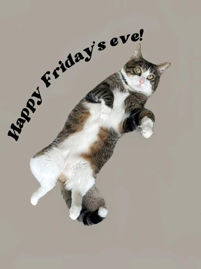 Happy Fridays Eve Cat Celebration Wallpaper
