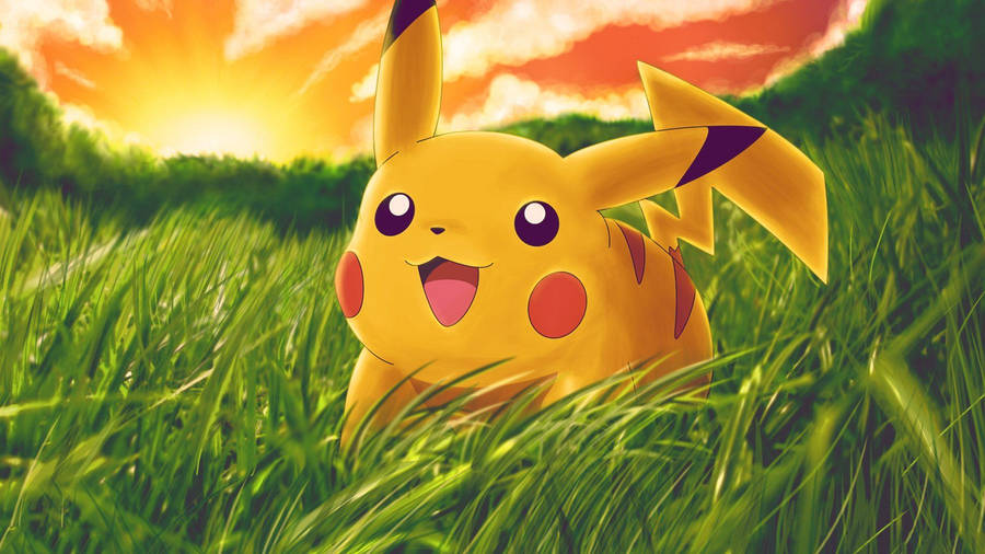 Happy Pikachu In The Field Wallpaper
