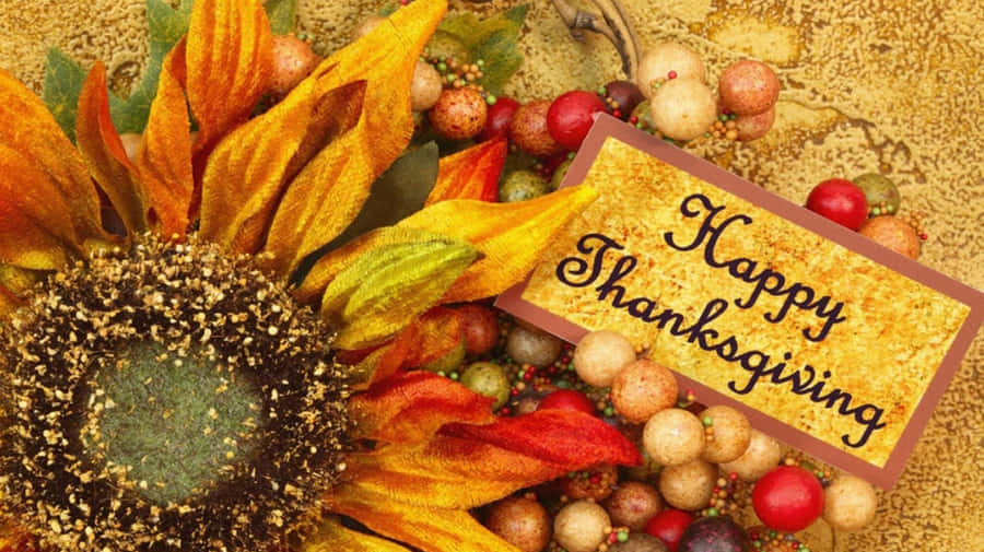 Happy Thanksgiving Greeting With Sunflower Wallpaper