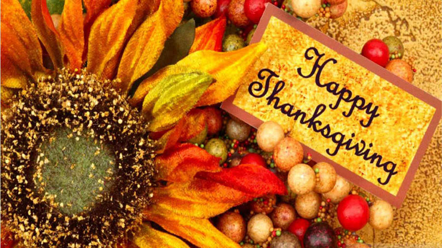 Happy Thanksgiving Sunflower Wallpaper