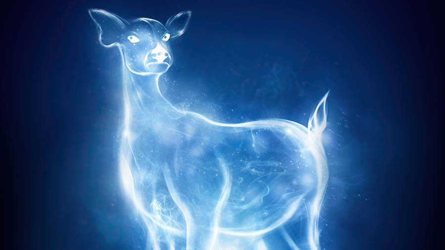 Harry Potter Casts A Patronus Charm. Wallpaper