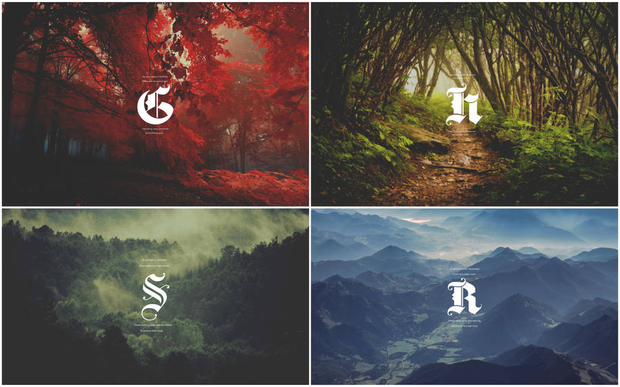 Harry Potter Houses Nature Aesthetic Wallpaper