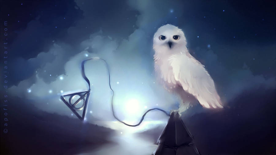 Harry Potter's White Owl Wallpaper