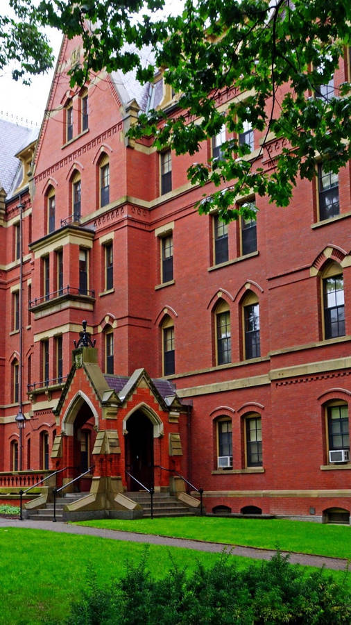 Harvard University Entrance For Phone Wallpaper