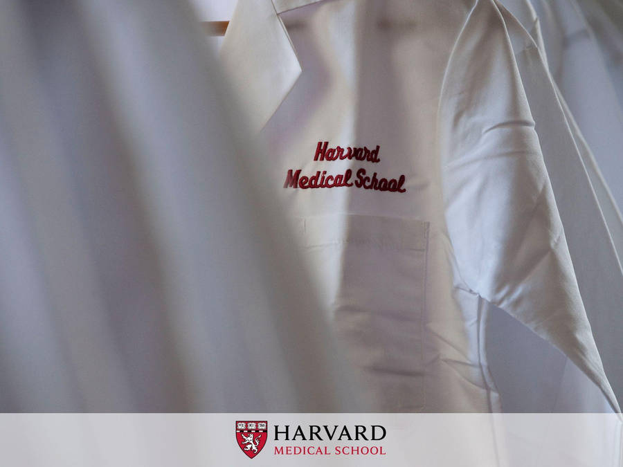 Harvard University Medical School Wallpaper