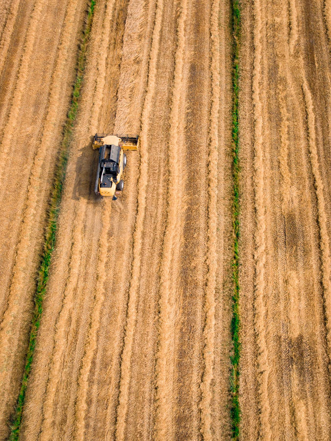 Harvesting Grains From A Farm With Combine Harvester Wallpaper