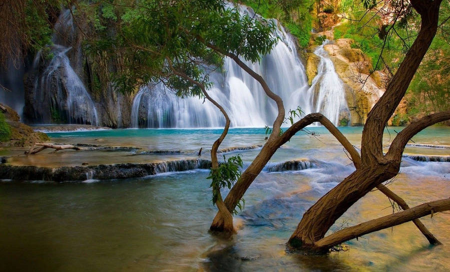 Havasu Falls Nature Computer Wallpaper