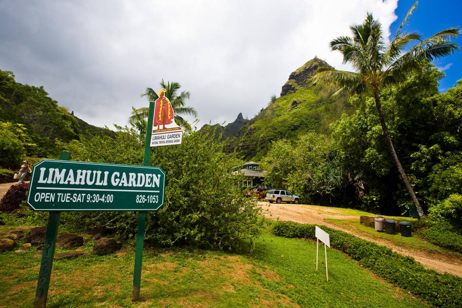 Hawaii's Limahuli Garden Wallpaper