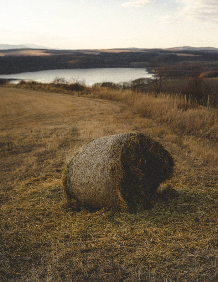 Hay Bale On Hungary Farmland Wallpaper