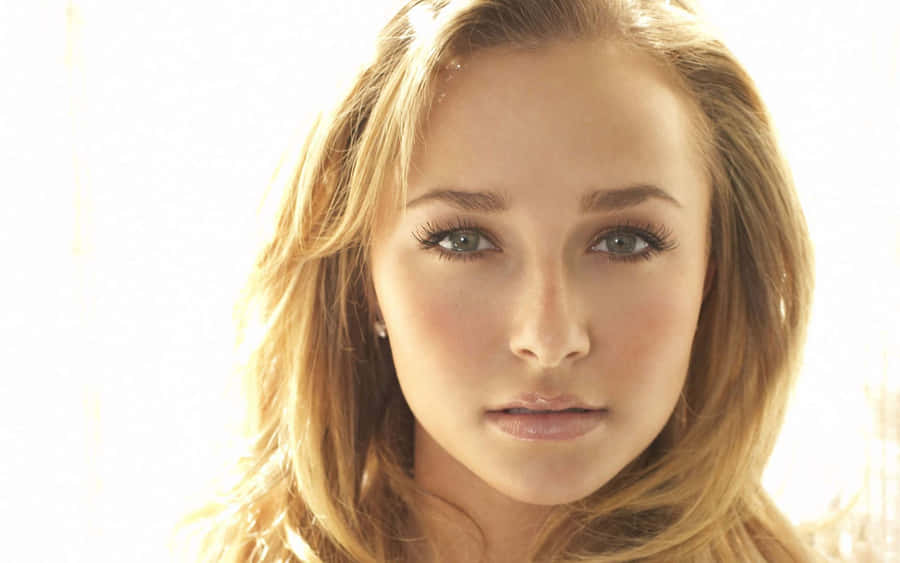 Hayden Panettiere Stunning Pose Wallpaper