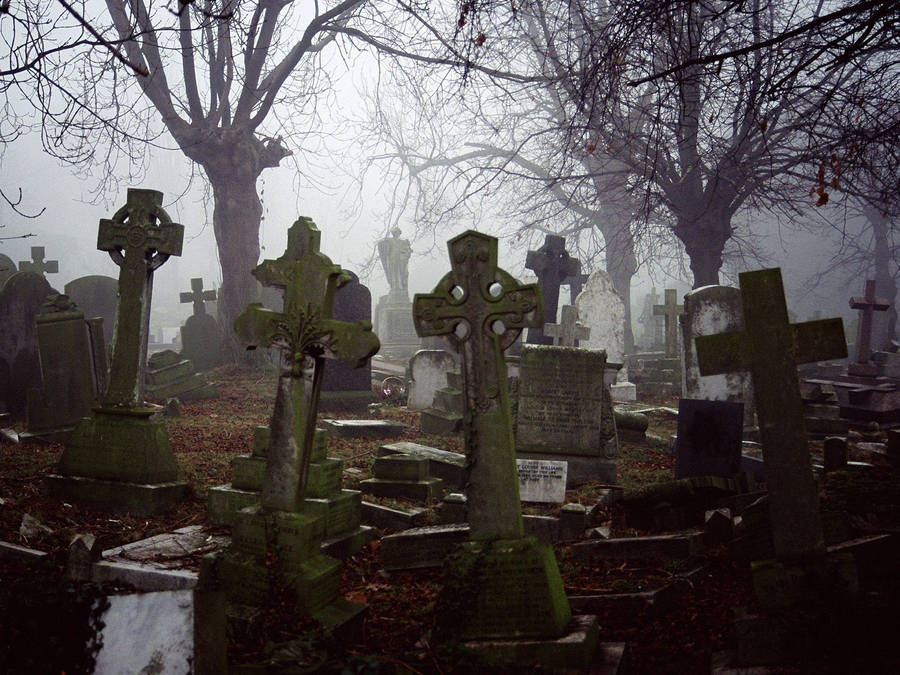 Hazy Graveyard Wallpaper