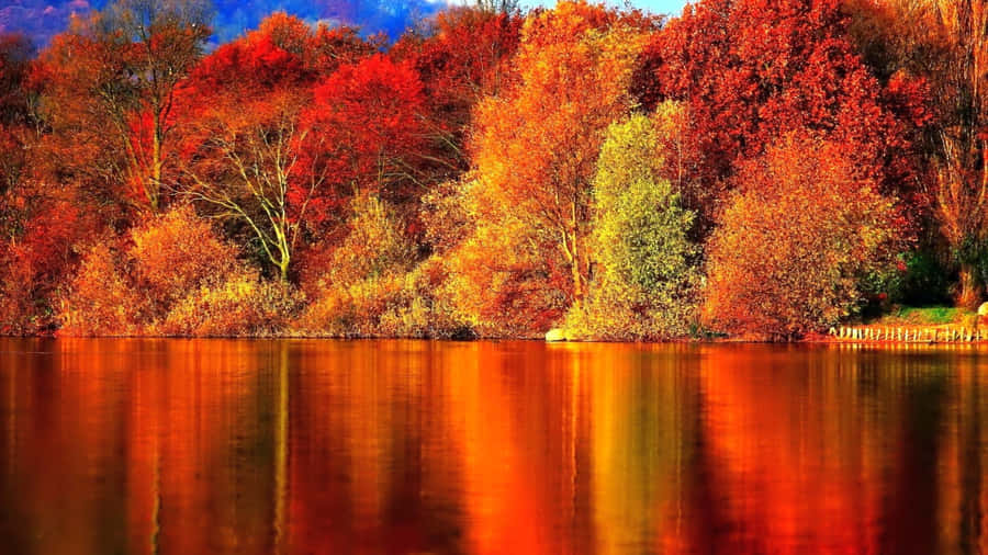 Hd Autumn Water Reflection Wallpaper