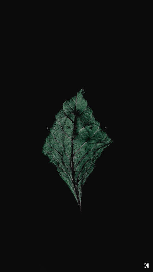 Hd Black Aesthetic Dry Leaf Wallpaper