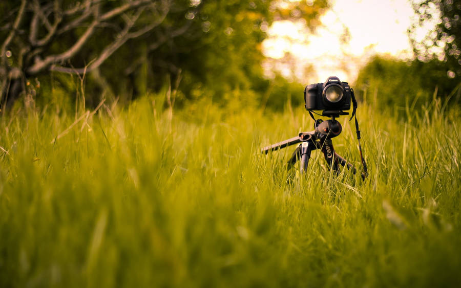 Hd Camera On A Tripod Wallpaper