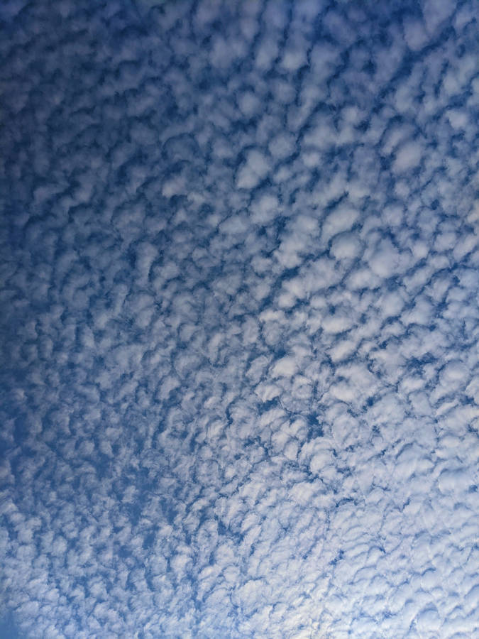 Hd Cirrocumulus Cloud Wallpaper