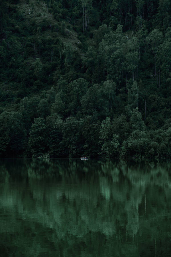 Hd Forest With White Boat Wallpaper