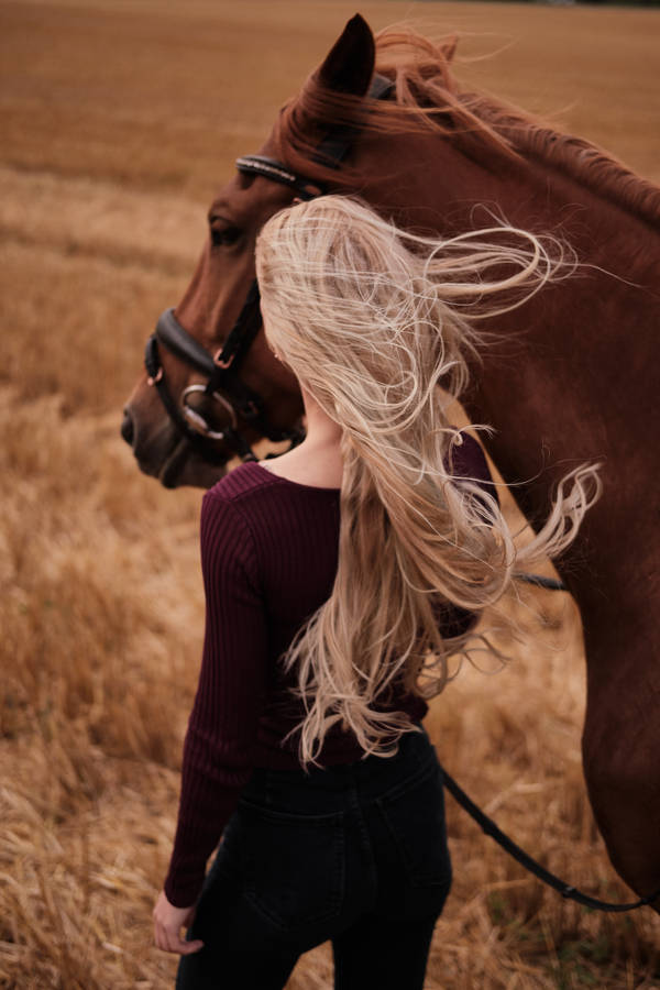 Hd Girl And Brown Horse Wallpaper