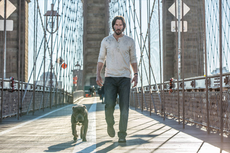 Hd John Wick And His Dog Wallpaper