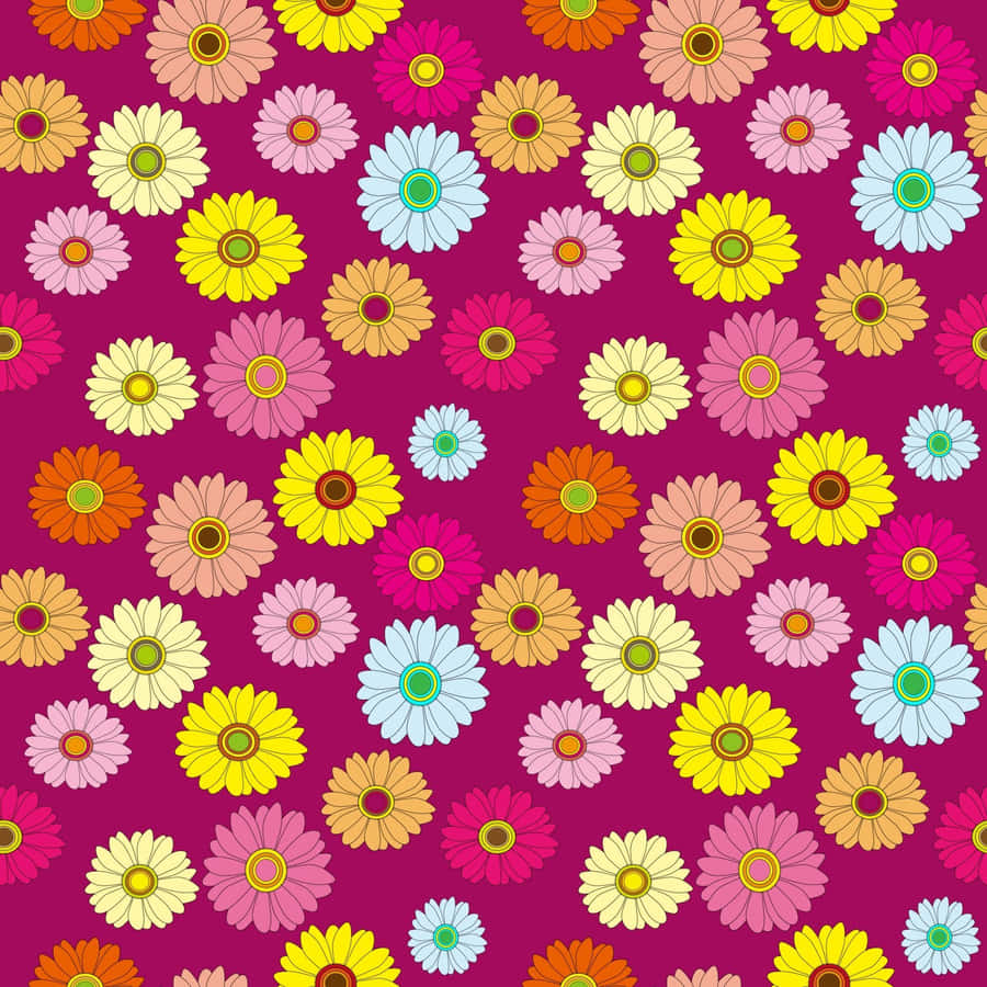 Hd Pattern Multi-colored Daisies Wallpaper