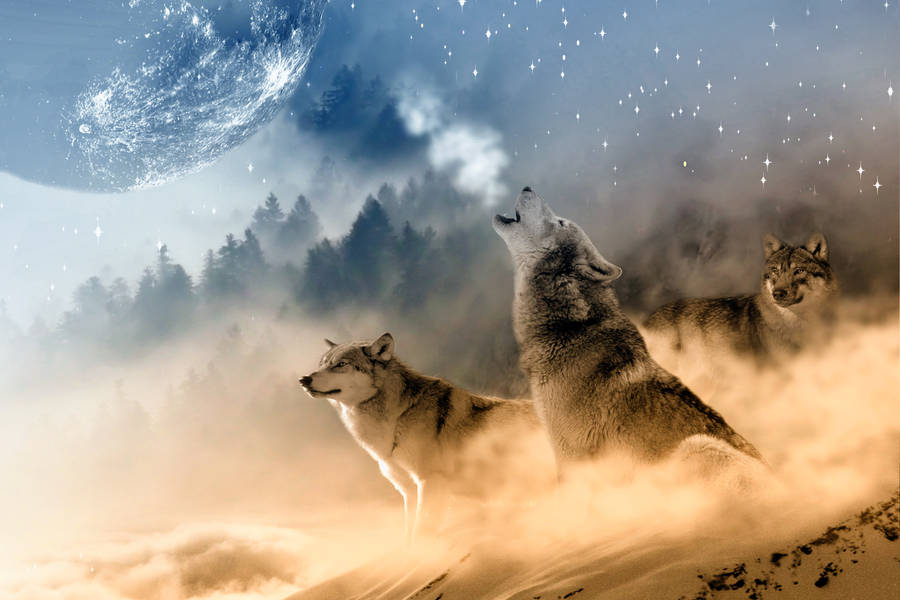 Hd Wolf Colorful Fantasy Wallpaper