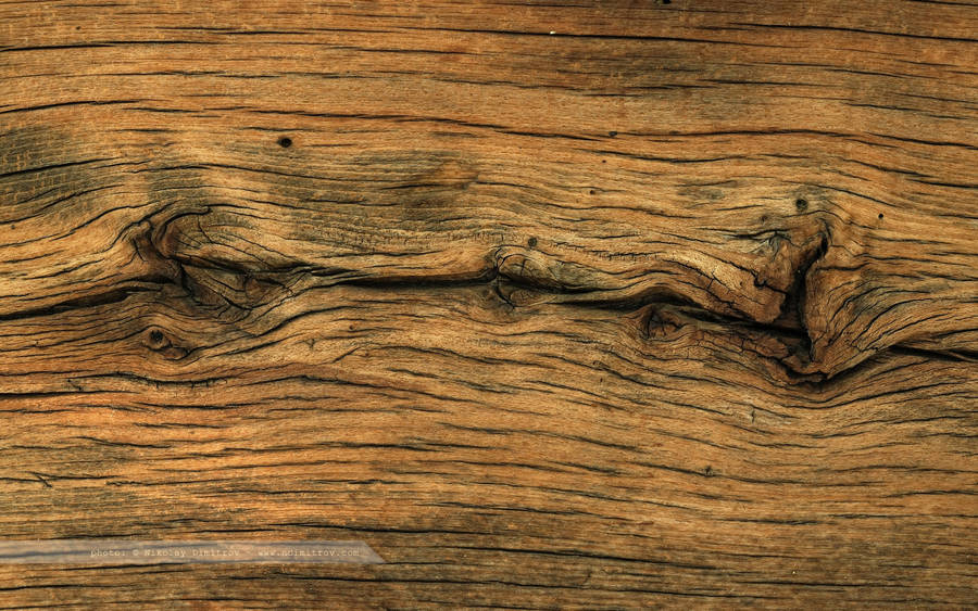 Hd Wood Natural Contours Wallpaper