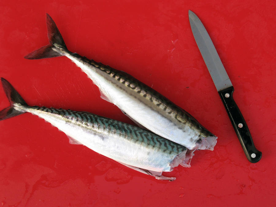 Headless Mackerels On Red Surface Wallpaper