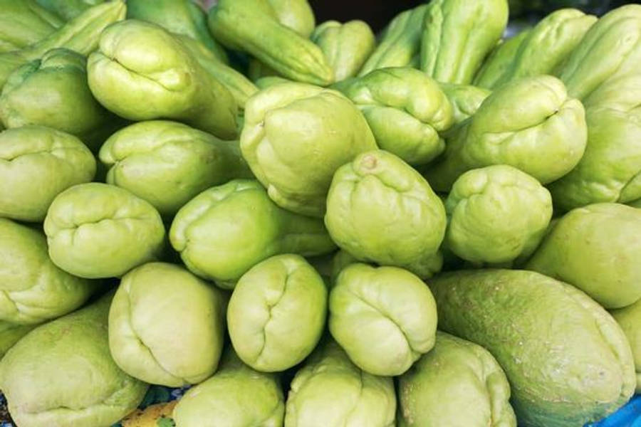 Healthy Pile Chayote Wallpaper