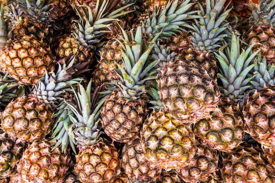 Heap Of Ripe Pineapple Wallpaper