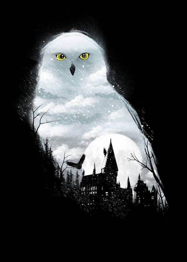 Hedwig Hp Aesthetic Wallpaper