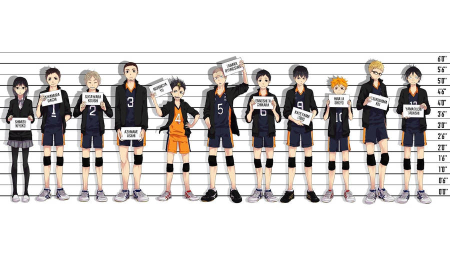 Heights Of Karasuno High Haikyuu Hd Wallpaper