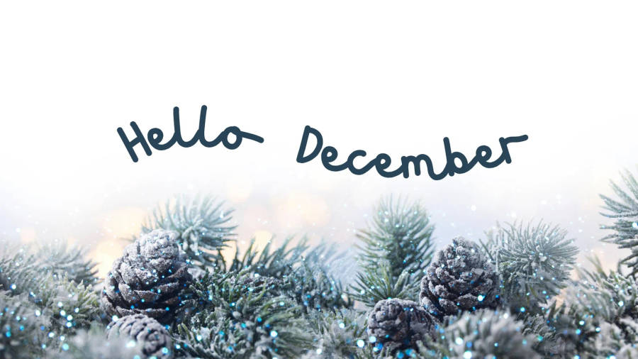 Hello December White Pine Leaves Wallpaper