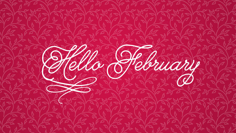 Hello February On Pink Wall Wallpaper