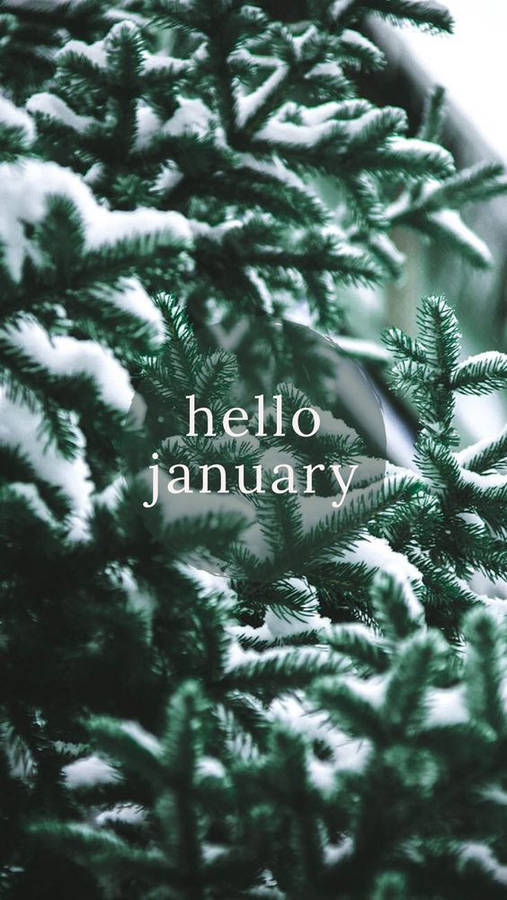 Hello January Snowy Leaves Wallpaper