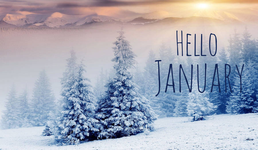 Hello January Sunlight Wallpaper