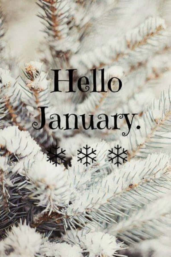 Hello January Wallpapers Wallpaper