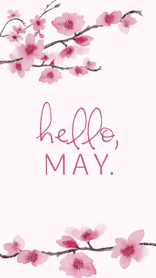 Hello May Cherry Blossom Painting Wallpaper