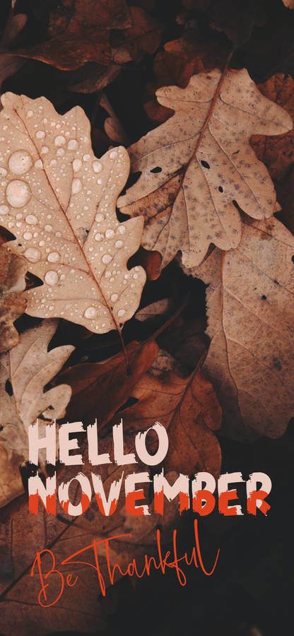 Hello November Be Thankful Wallpaper