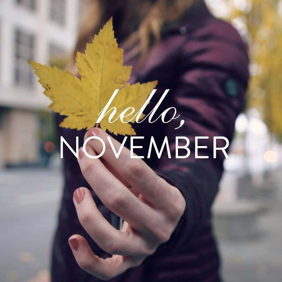 Hello November Wallpaper