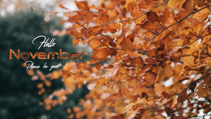 Hello November Please Be Good Wallpaper