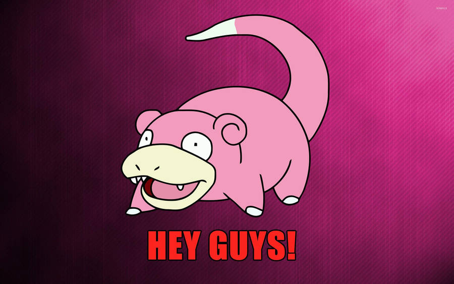 Hey Guys Slowpoke Wallpaper