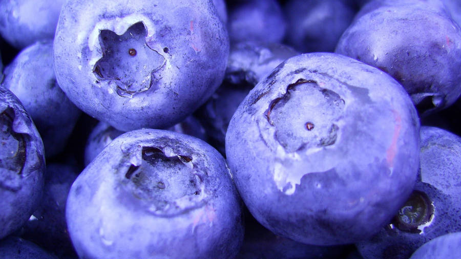 High Contrast Blueberries Wallpaper