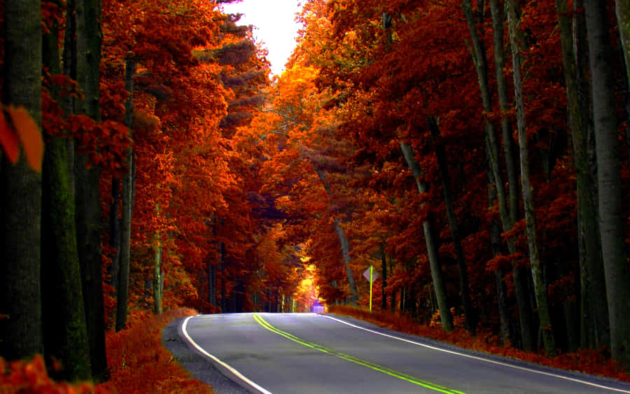 Highway In Autumn Season Wallpaper