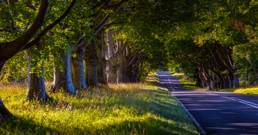 Highway Quiet Rural Road Wallpaper