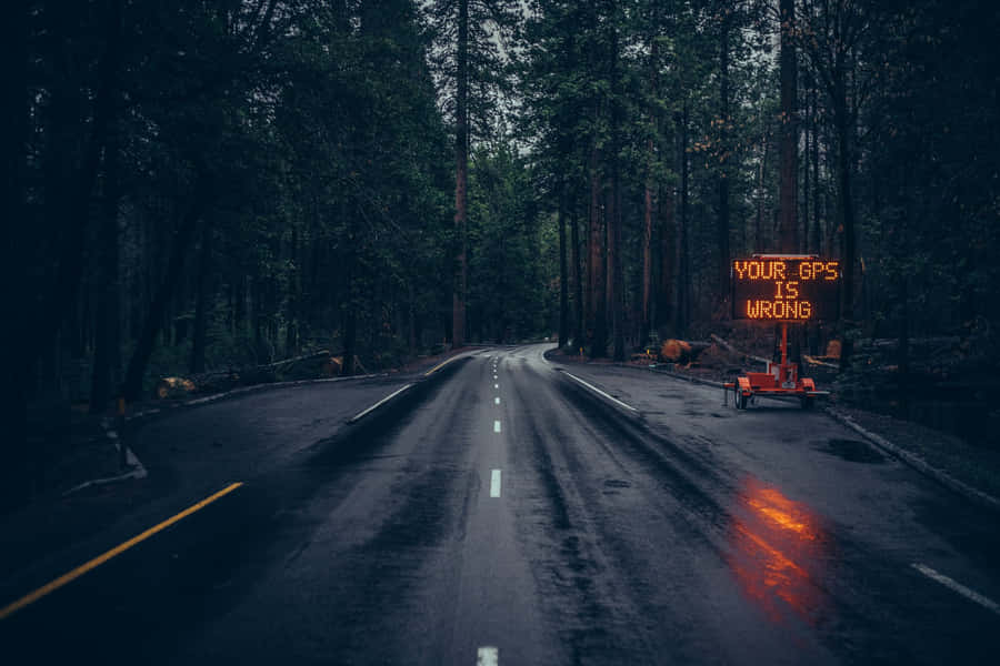 Highway Surrounded By Tall Trees Wallpaper