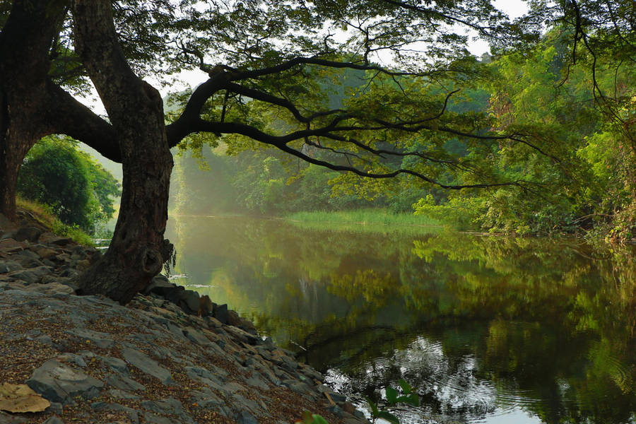 Hilly Riverside In The Daytime Wallpaper