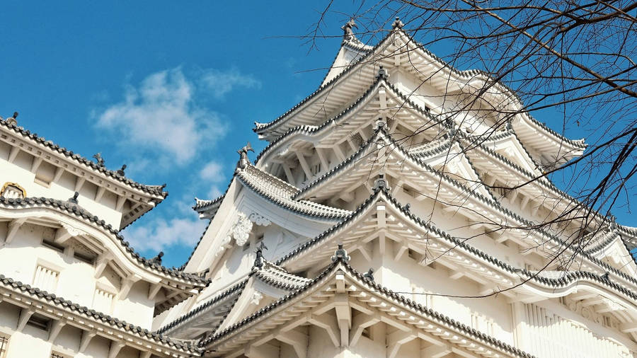 Himeji Castle Ground View Wallpaper