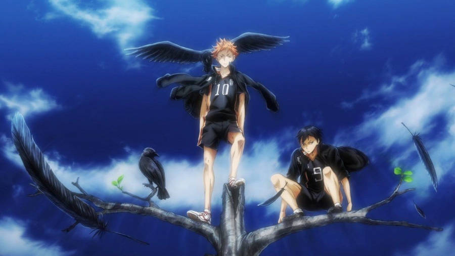 Hinata And Kageyama With Crows, Haikyuu Hd Wallpaper