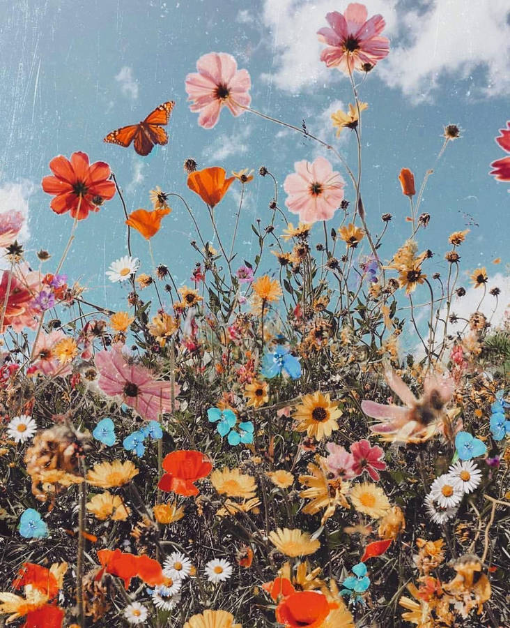 Hippie Aesthetic Vsco Flowers In Blue Sky Wallpaper