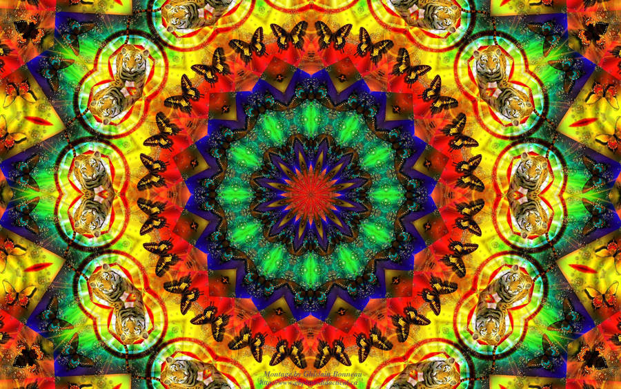 Hippie Kaleidoscope Design Tiger And Butterfly Wallpaper