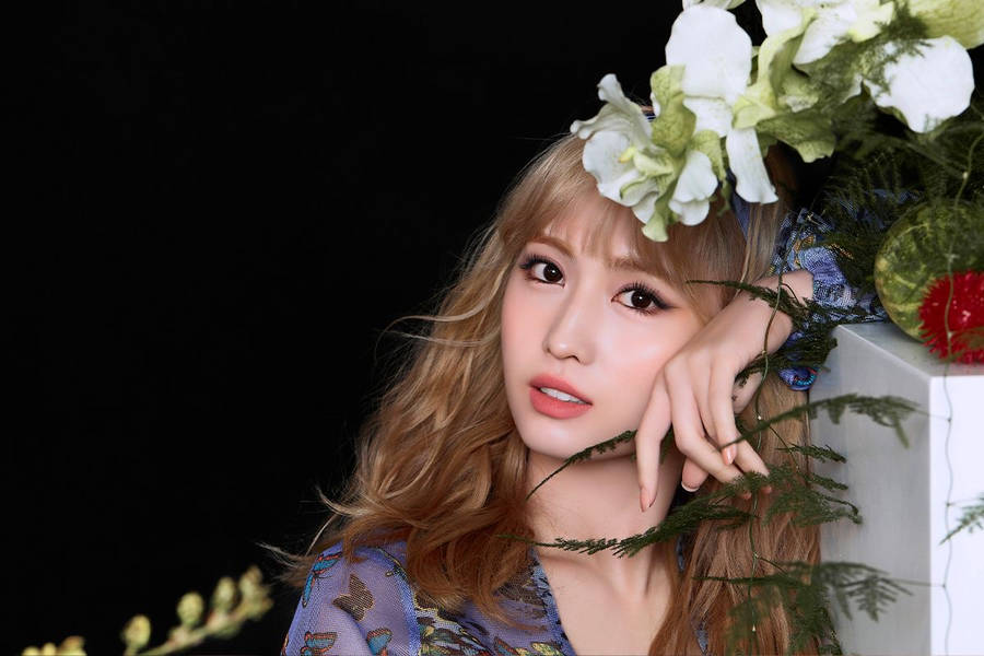 Hirai Momo With Flowers Wallpaper